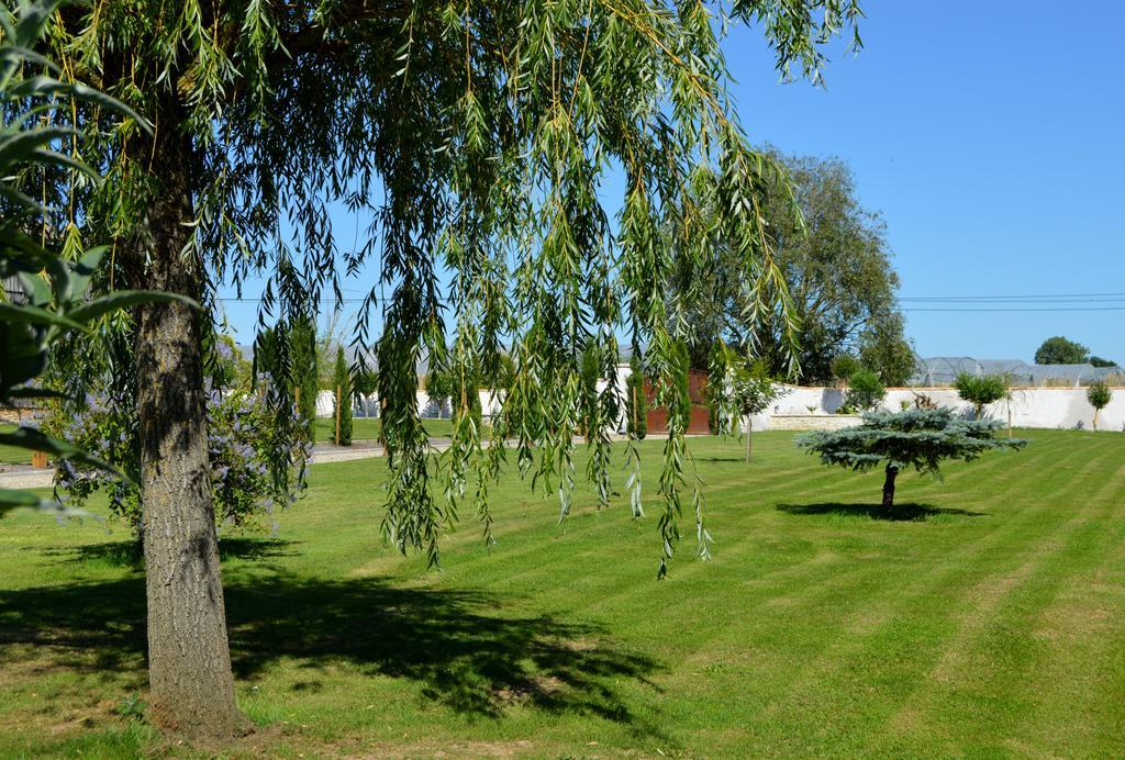 Le Coteau De Bazeille Sauna&Detente Sas Sainte-Bazeille Kültér fotó