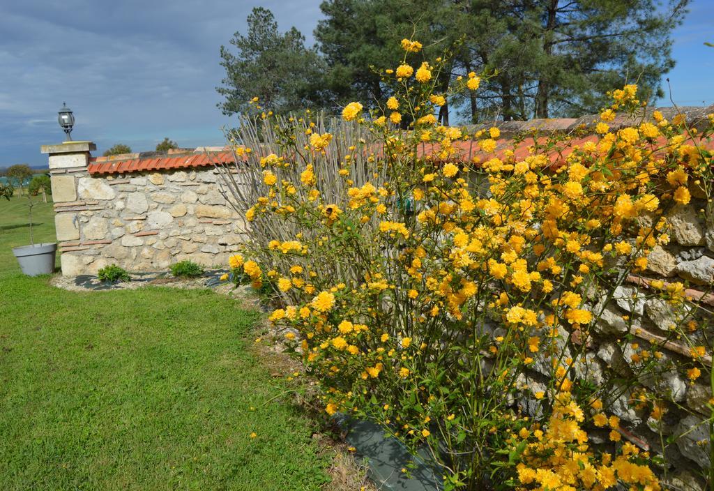 Le Coteau De Bazeille Spa & Sauna Sas Hotel Sainte-Bazeille Kültér fotó