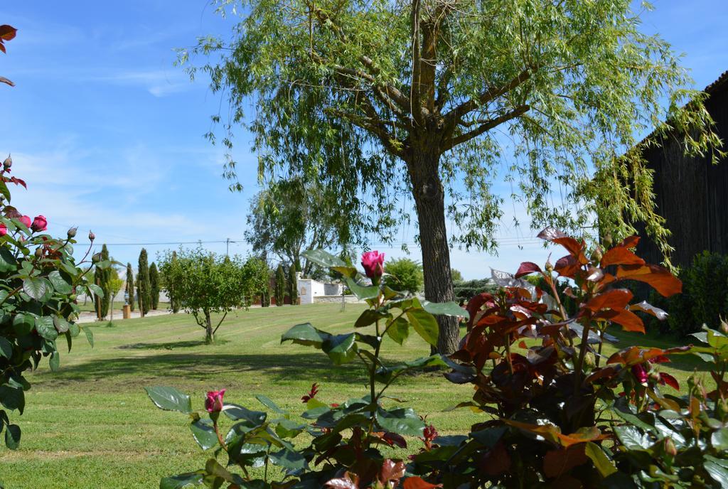 Le Coteau De Bazeille Spa & Sauna Sas Hotel Sainte-Bazeille Kültér fotó